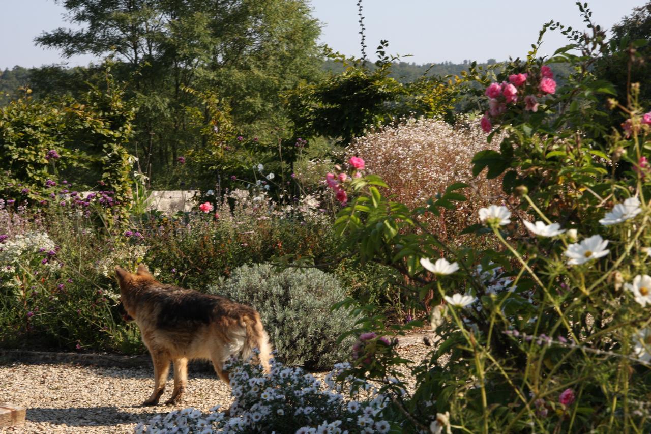 Chateau Manoir De La Leche Touvre Buitenkant foto