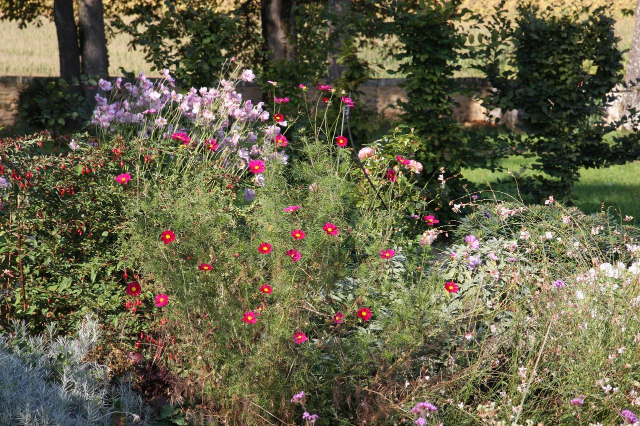 Chateau Manoir De La Leche Touvre Buitenkant foto